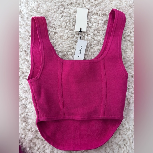 Aritzia Bustier Tank - Picture 2 of 3